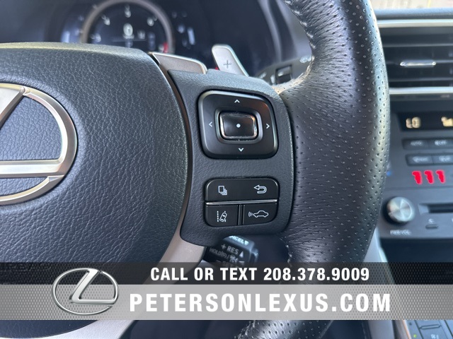 2020 Lexus IS 300 F SPORT photo 23