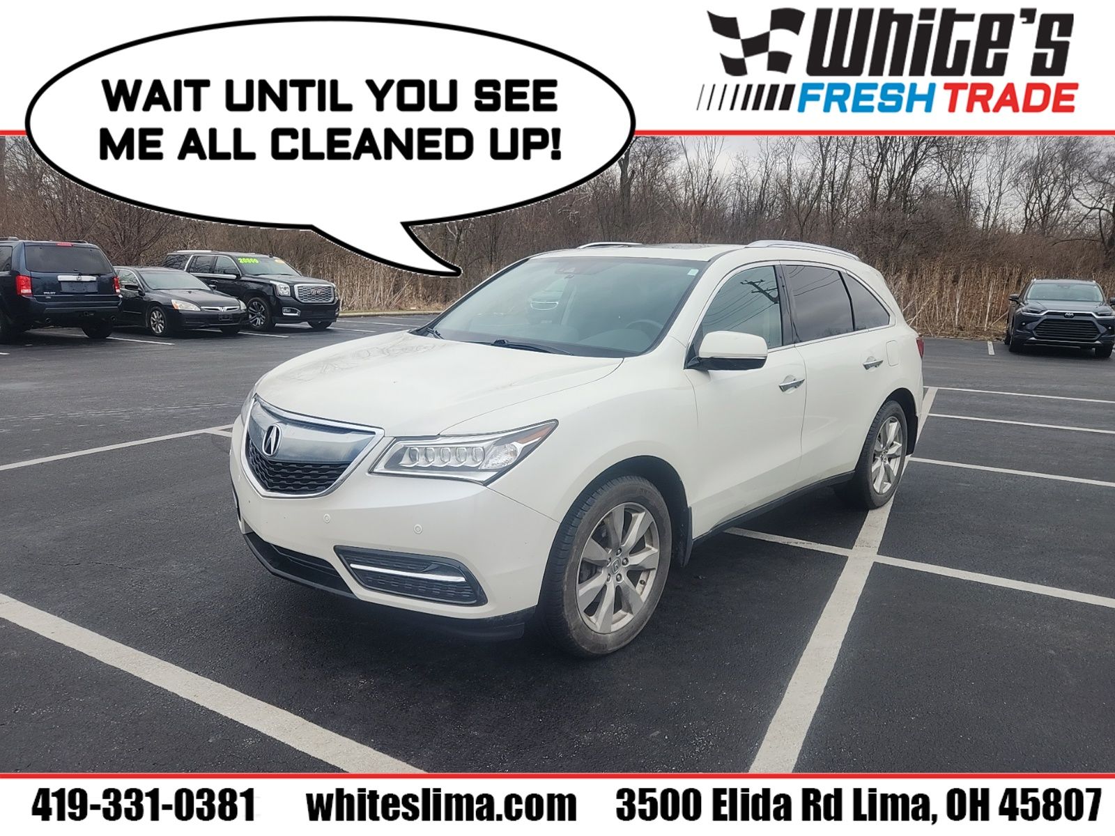 2016 Acura MDX Advance Package's photo