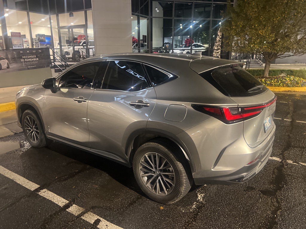 2022 Lexus NX Hybrid 350h's photo
