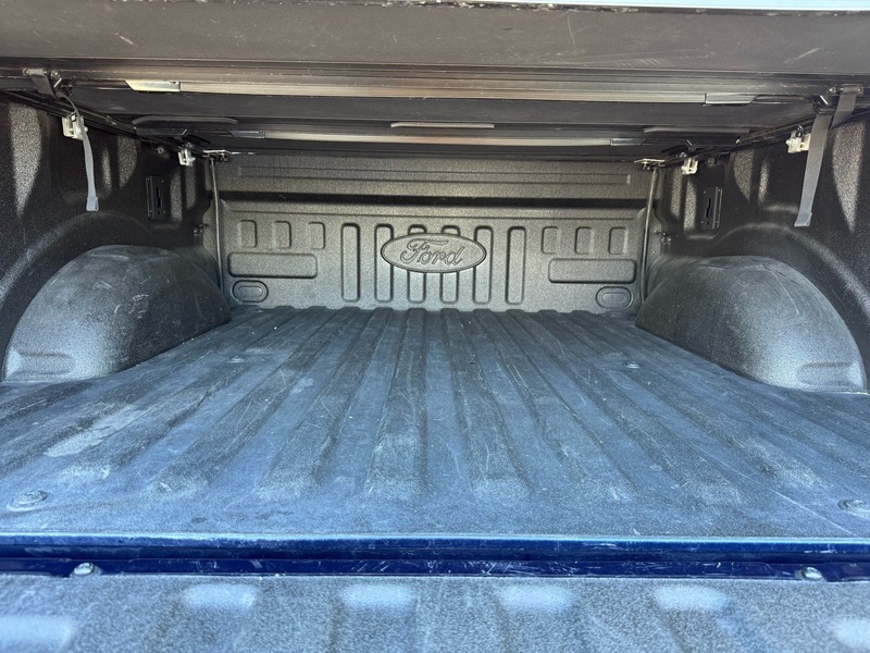2020 Ford F-150 Platinum photo 17