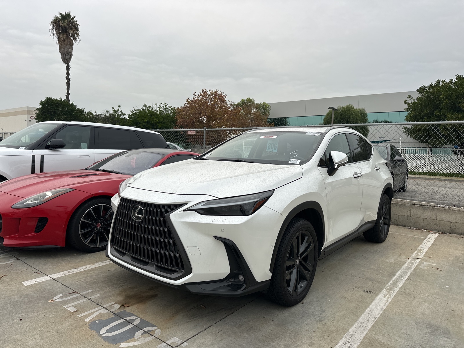 2022 Lexus NX PHEV 450h+'s photo