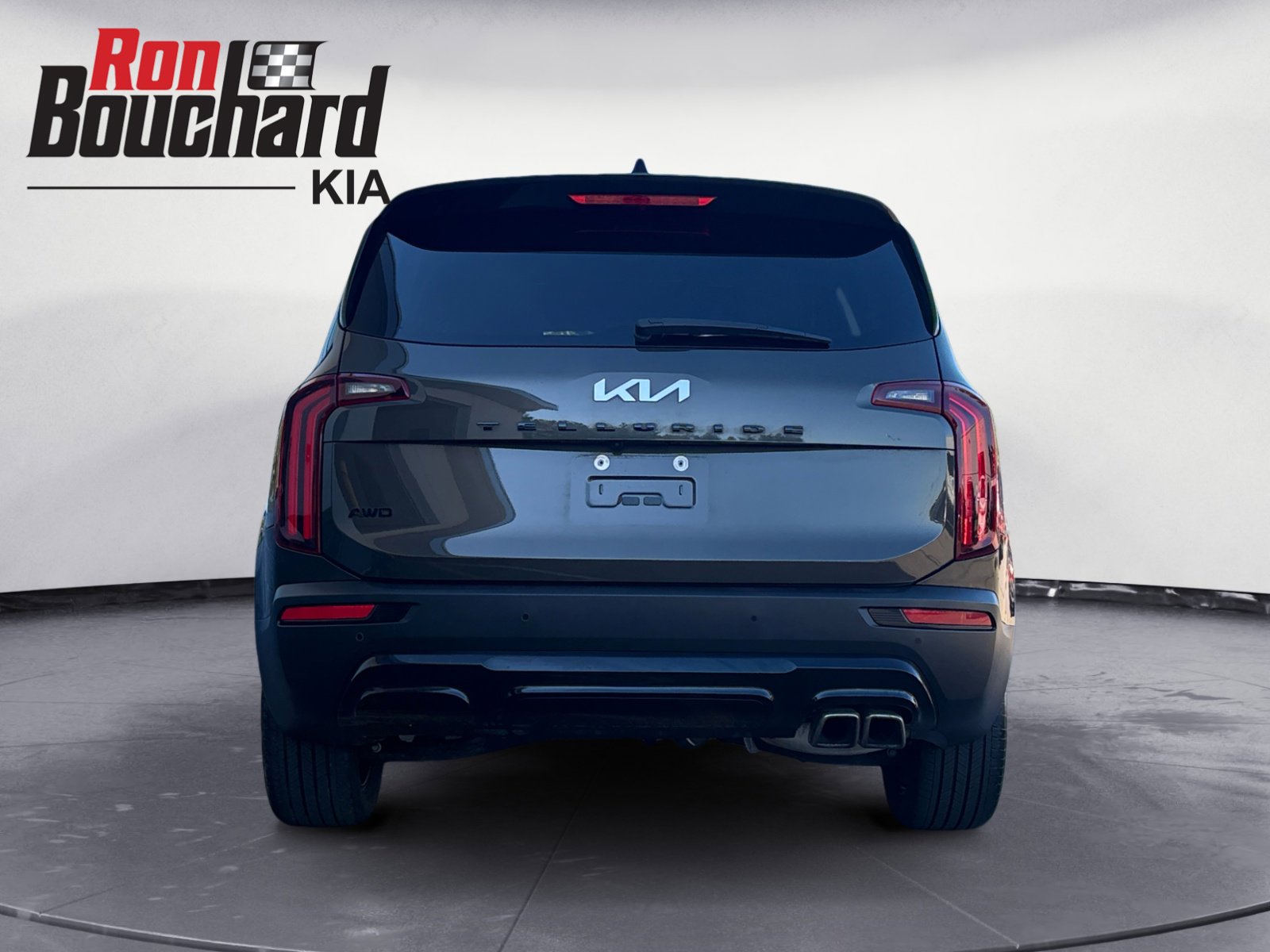 2022 Kia Telluride SX photo 3