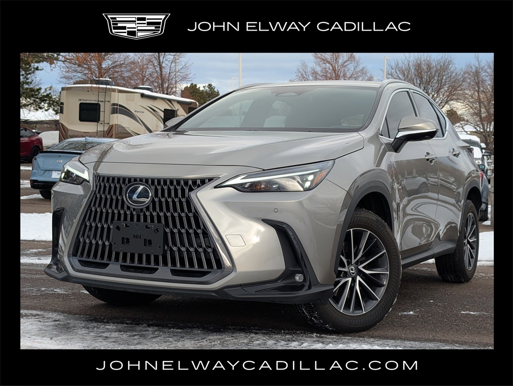 2024 Lexus NX 350's photo