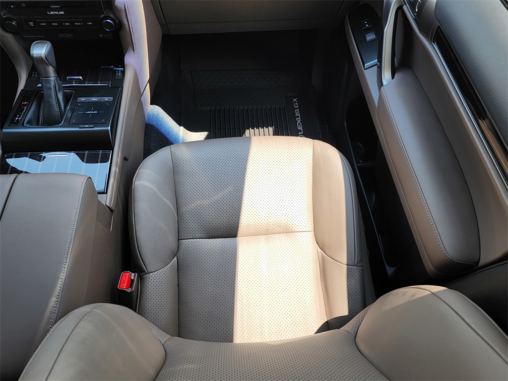 2023 Lexus GX 460 Luxury photo 10