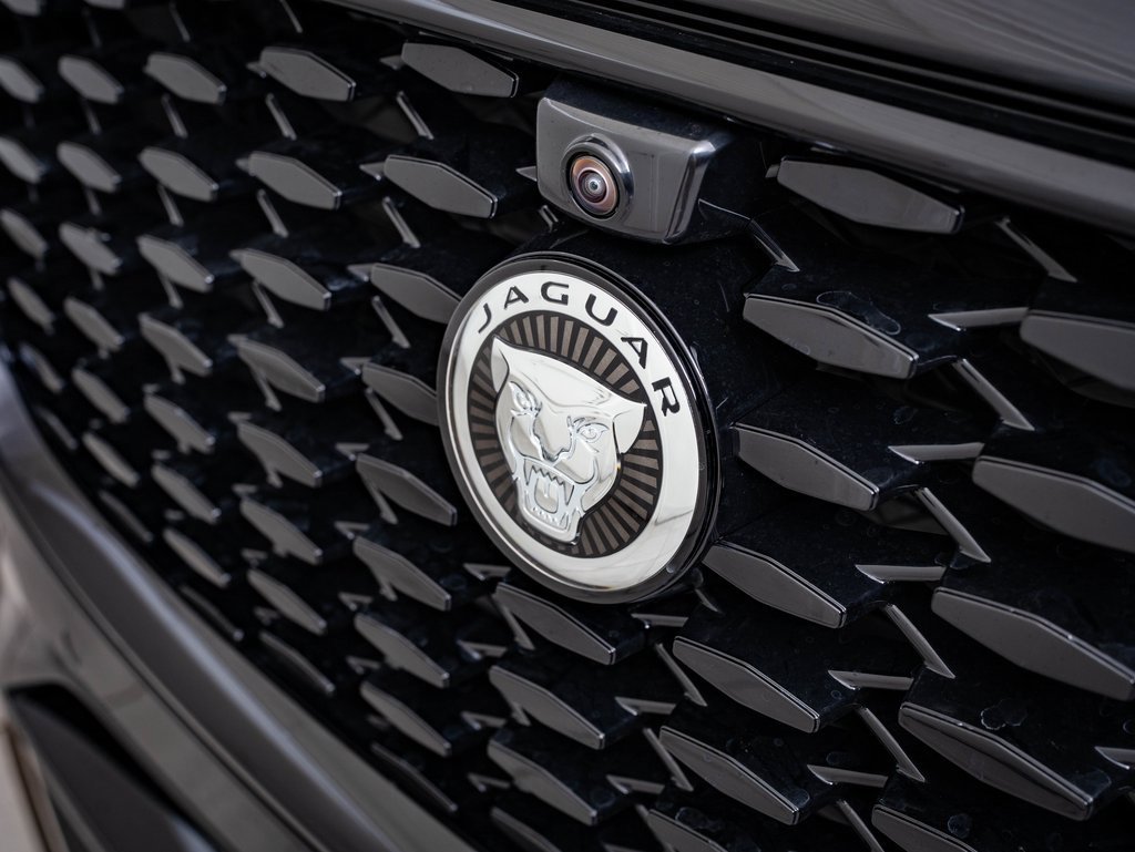 2026 Jaguar F-PACE P250 R-Dynamic S photo 3