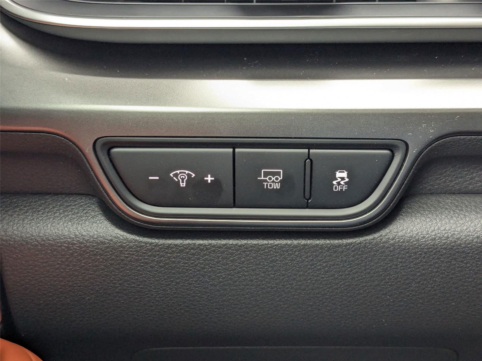 2025 Kia Carnival SX photo 16