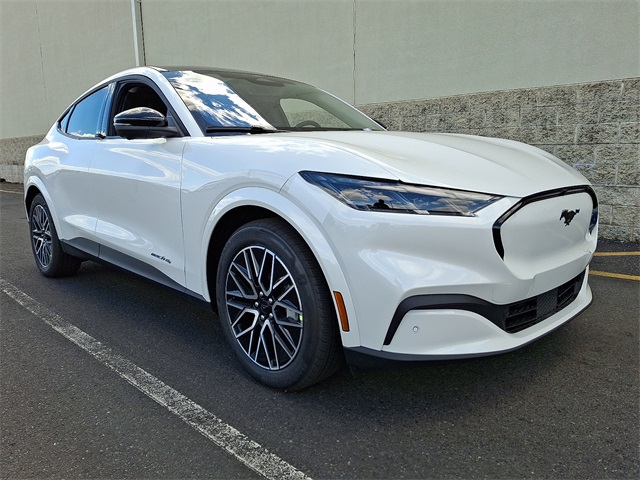 2025 Ford Mustang Mach-E Premium photo 2