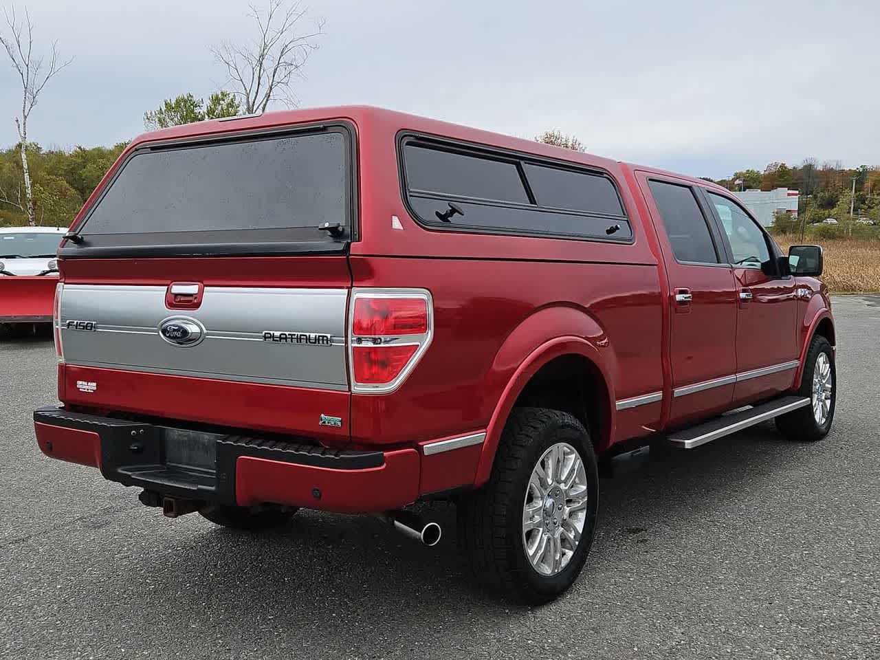2010 Ford F-150 Platinum photo 4