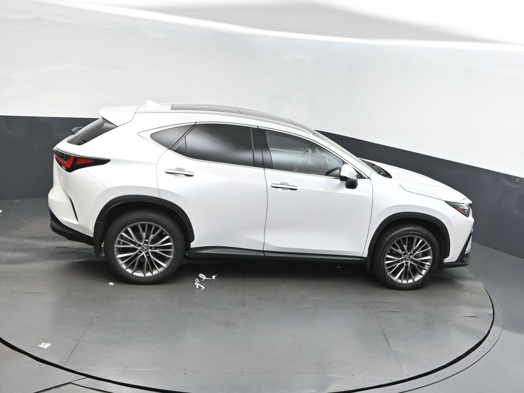 2023 Lexus NX 350 Luxury photo 33