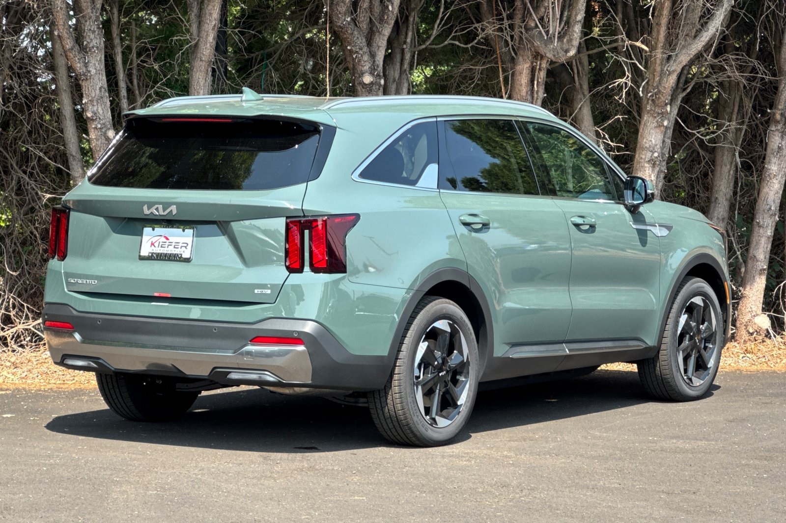 2025 Kia Sorento Hybrid EX photo 2