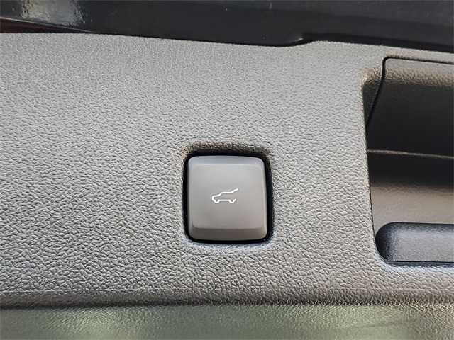 2023 Ford Escape ST-Line photo 8