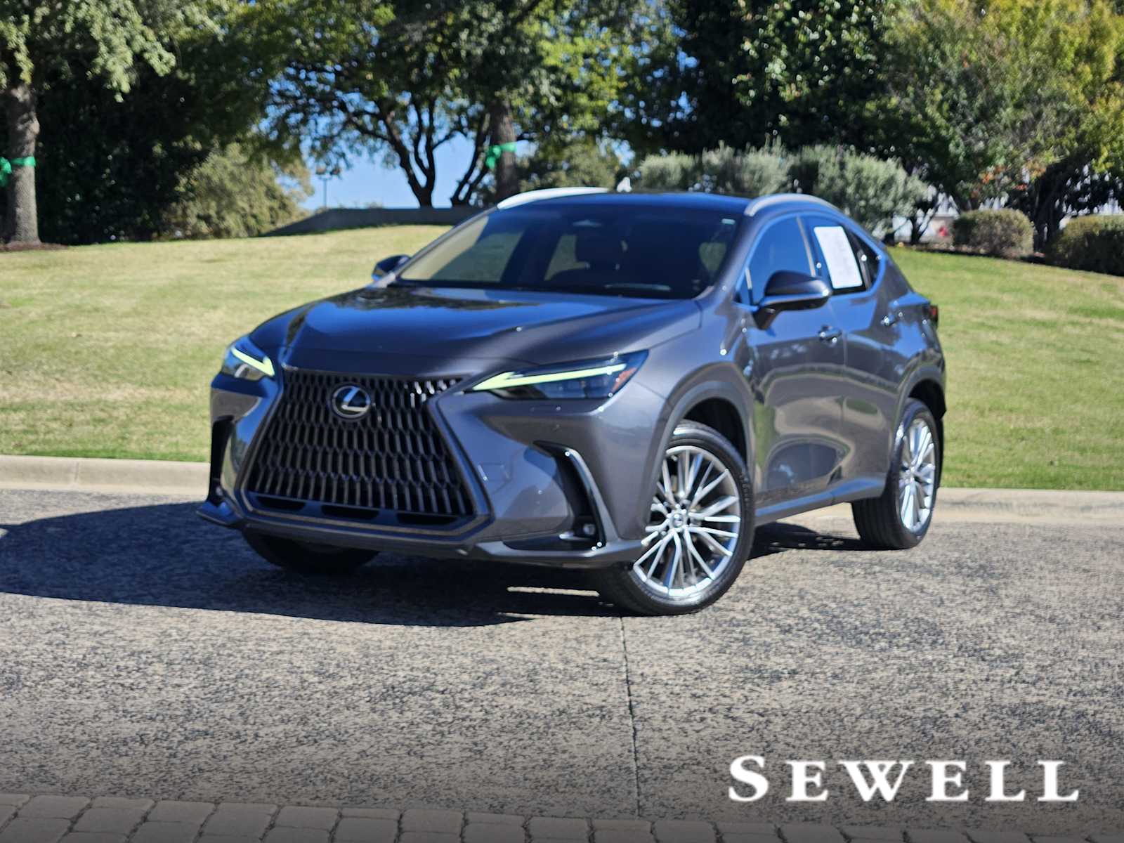 2023 Lexus NX 350's photo