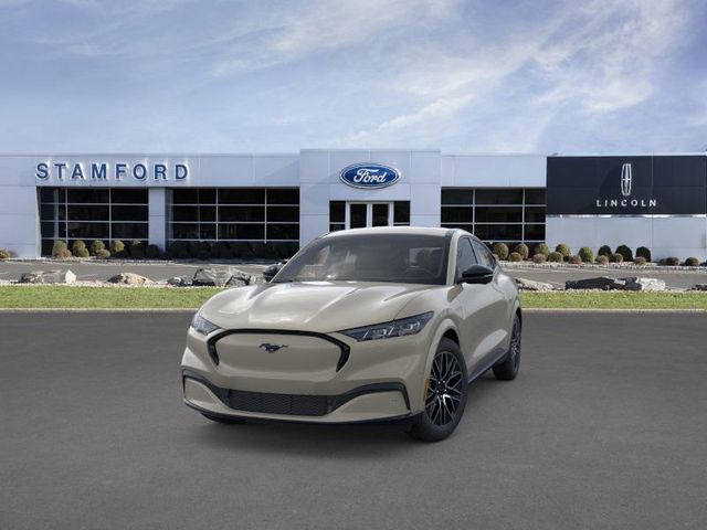 2025 Ford Mustang Mach-E Premium photo 2