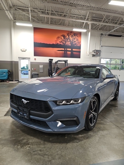 2024 Ford Mustang EcoBoost photo 2