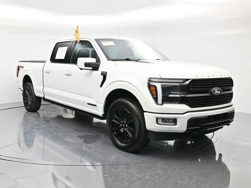 2024 Ford F-150 Platinum's photo
