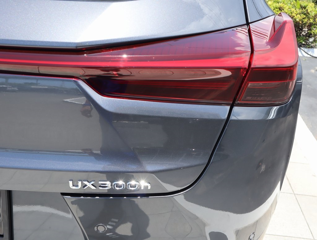 2025 Lexus UX photo 16