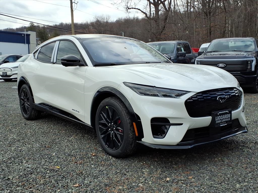 2025 Ford Mustang Mach-E Premium AWD's photo