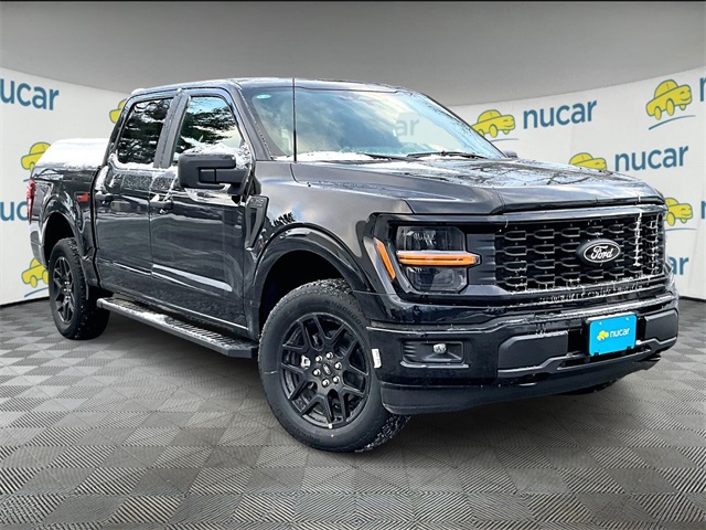 2025 Ford F-150 STX's photo