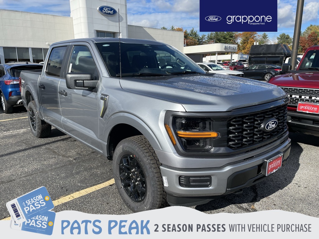 2025 Ford F-150 STX's photo