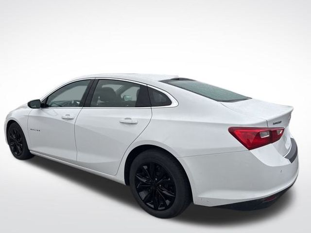 2024 Chevrolet Malibu 1LT photo 3