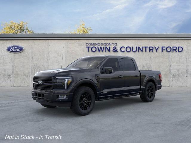 2025 Ford F-150 Platinum photo 19