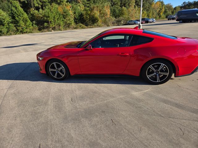 2024 Ford Mustang EcoBoost photo 2