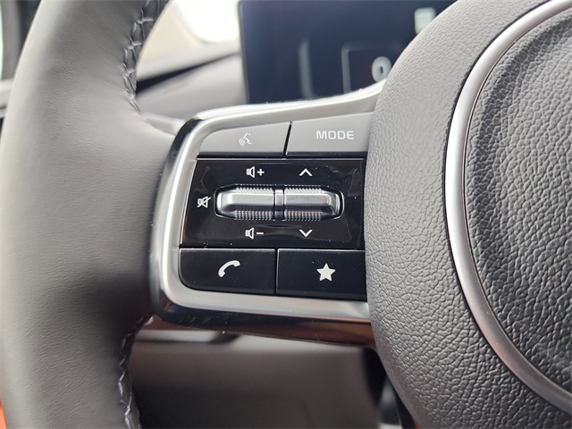 2026 Kia Carnival SX Prestige photo 23