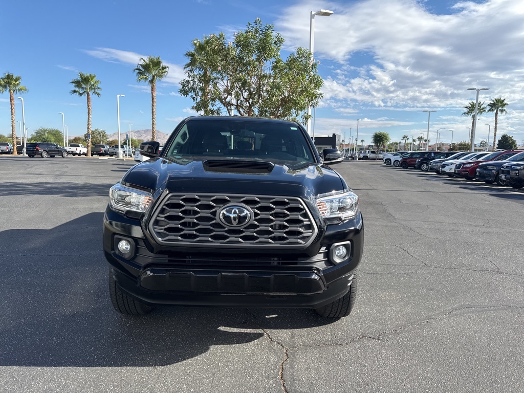 2023 Toyota Tacoma TRD Sport photo 3