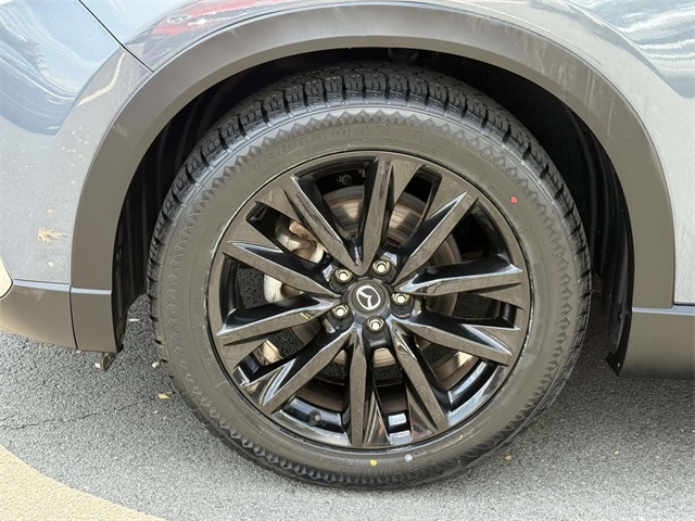 2022 Mazda CX-9 Carbon photo 12