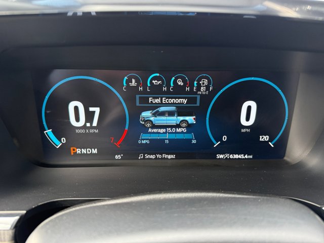 2021 Ford F-150 Platinum photo 11