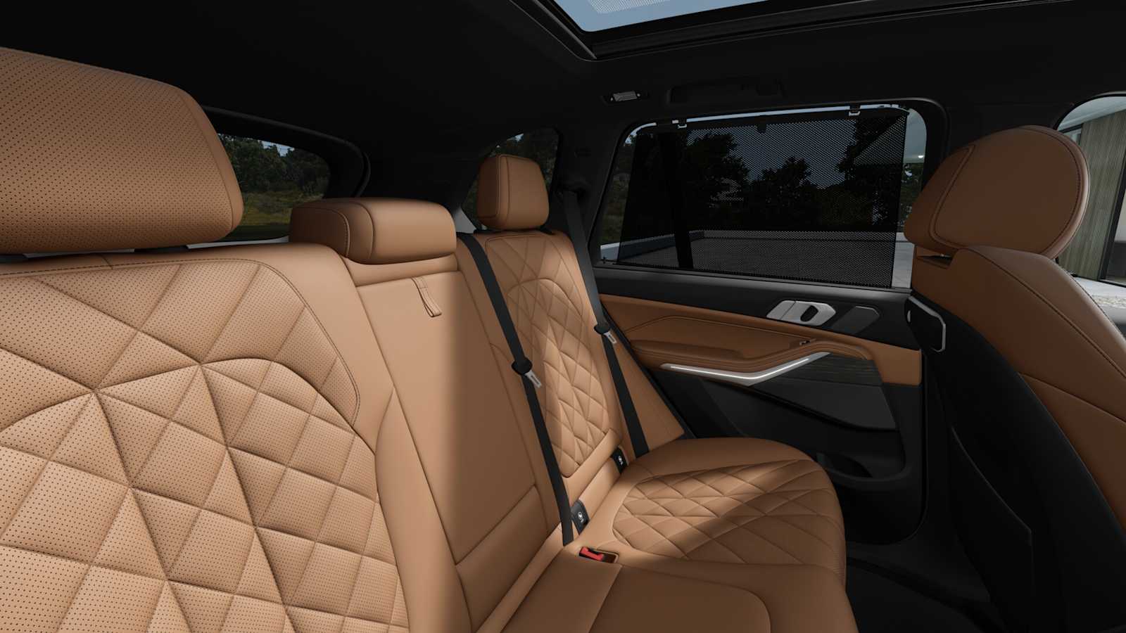 2026 Bmw X5 xDrive50e photo 10