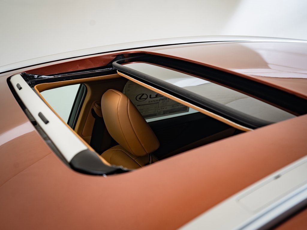 2025 Lexus NX 350 Premium photo 13