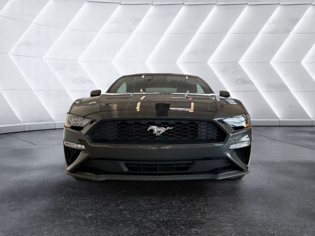 2023 Ford Mustang EcoBoost Premium photo 2