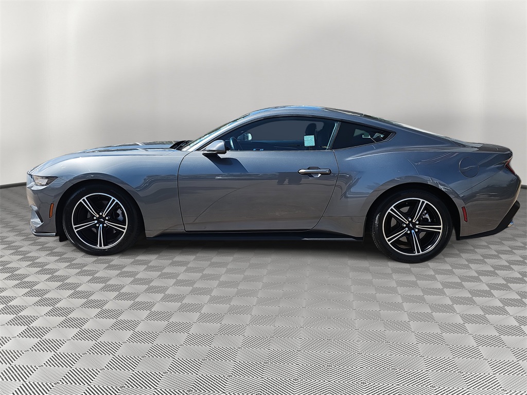2024 Ford Mustang EcoBoost photo 6