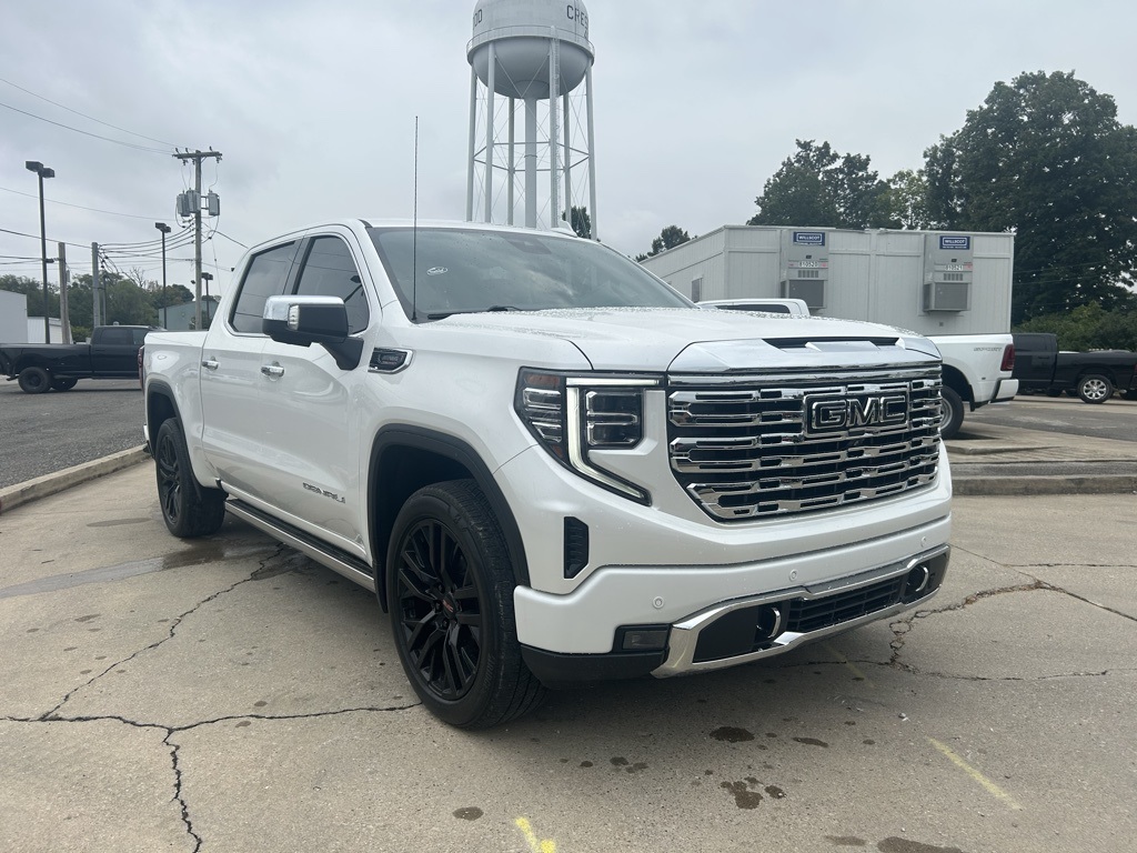 2022 Gmc Sierra 1500 Denali photo 4