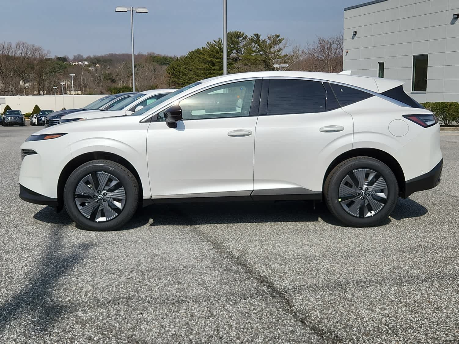 2025 Nissan Murano SL photo 5