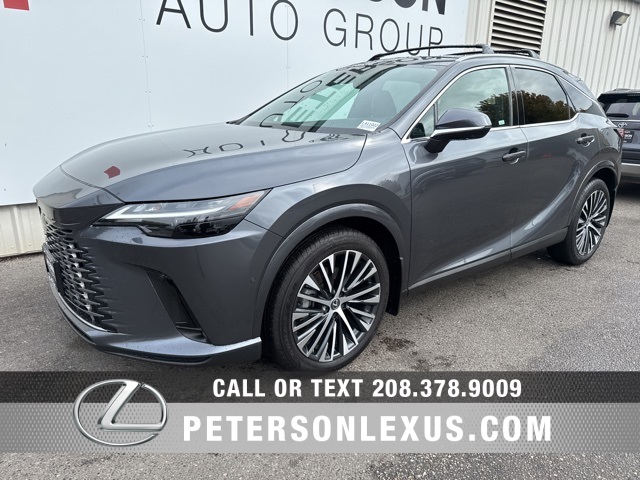 2024 Lexus RX 350h Premium photo 7