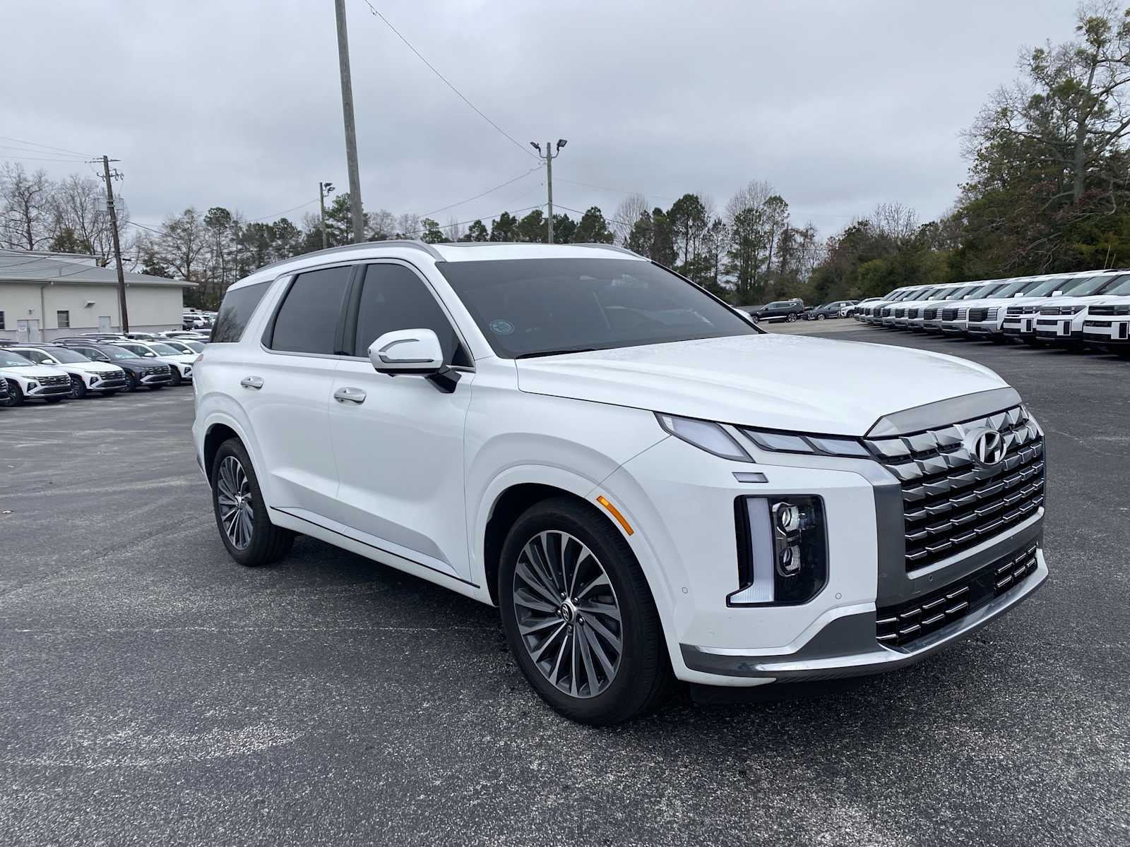 2024 Hyundai Palisade Calligraphy's photo