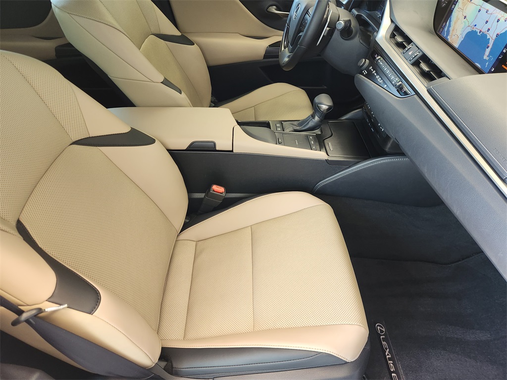 2019 Lexus ES 300h photo 12