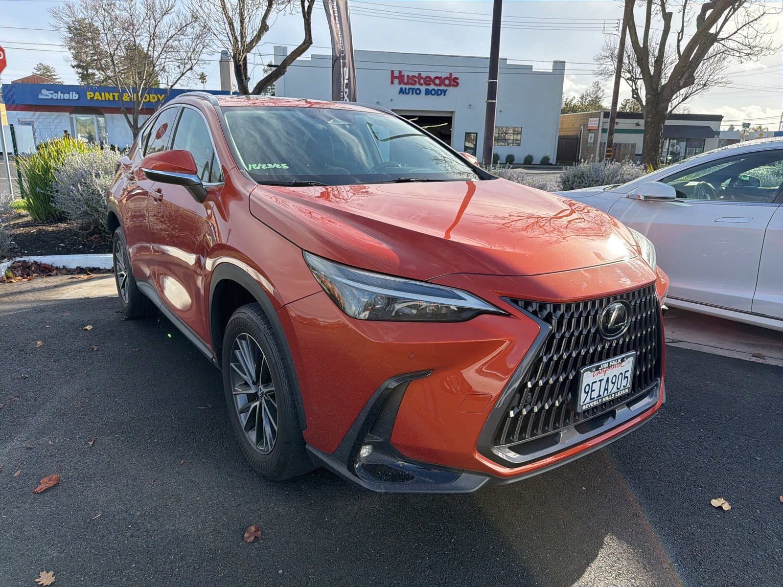 2022 Lexus NX 250's photo