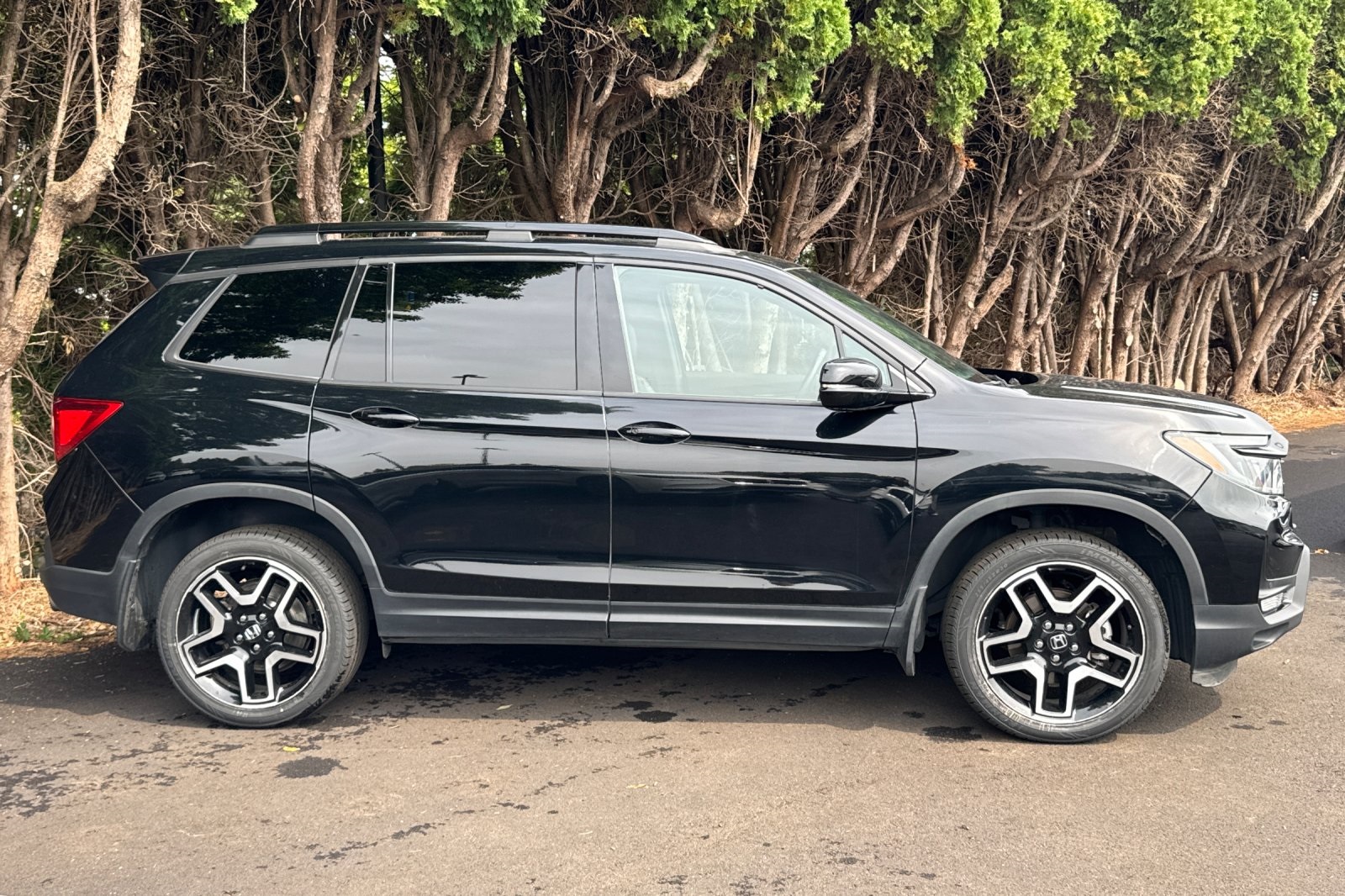 2022 Honda Passport Elite photo 3