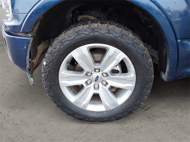 2019 Ford F-150 Platinum photo 14