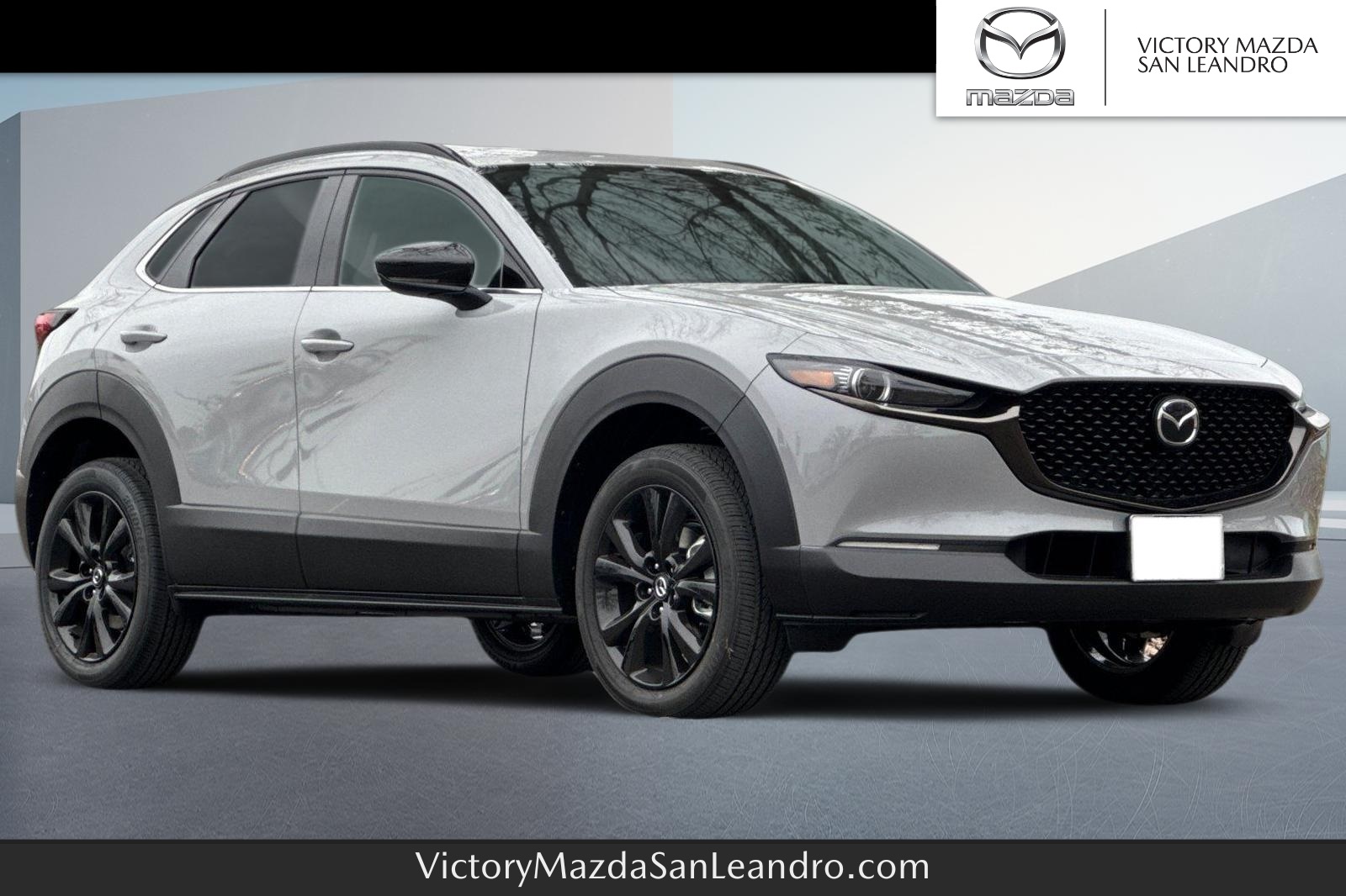 2025 Mazda CX-30 Turbo Premium's photo