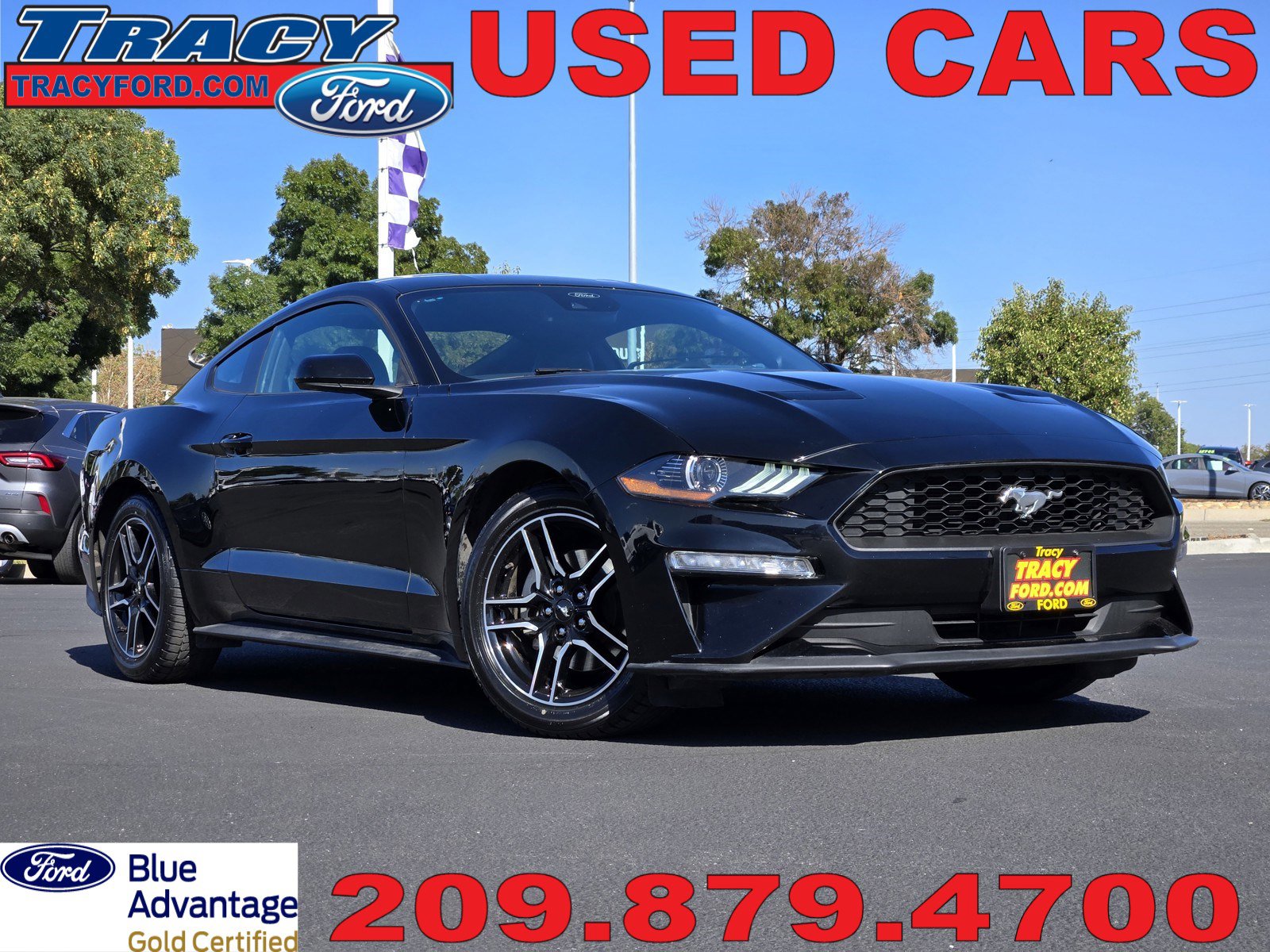 2023 Ford Mustang