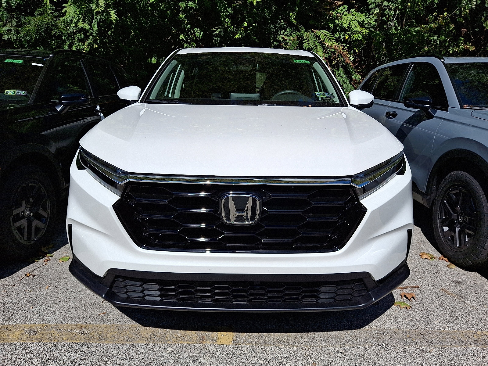 2026 Honda CR-V EX photo 2