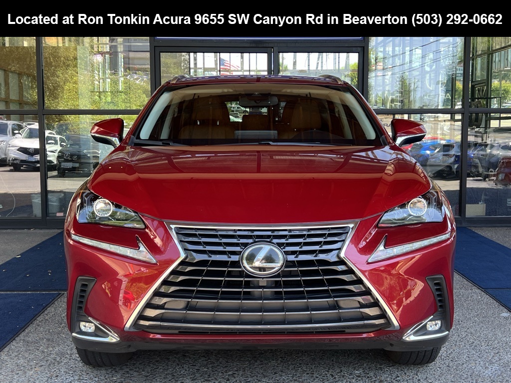 2018 Lexus NX 300 Luxury photo 3