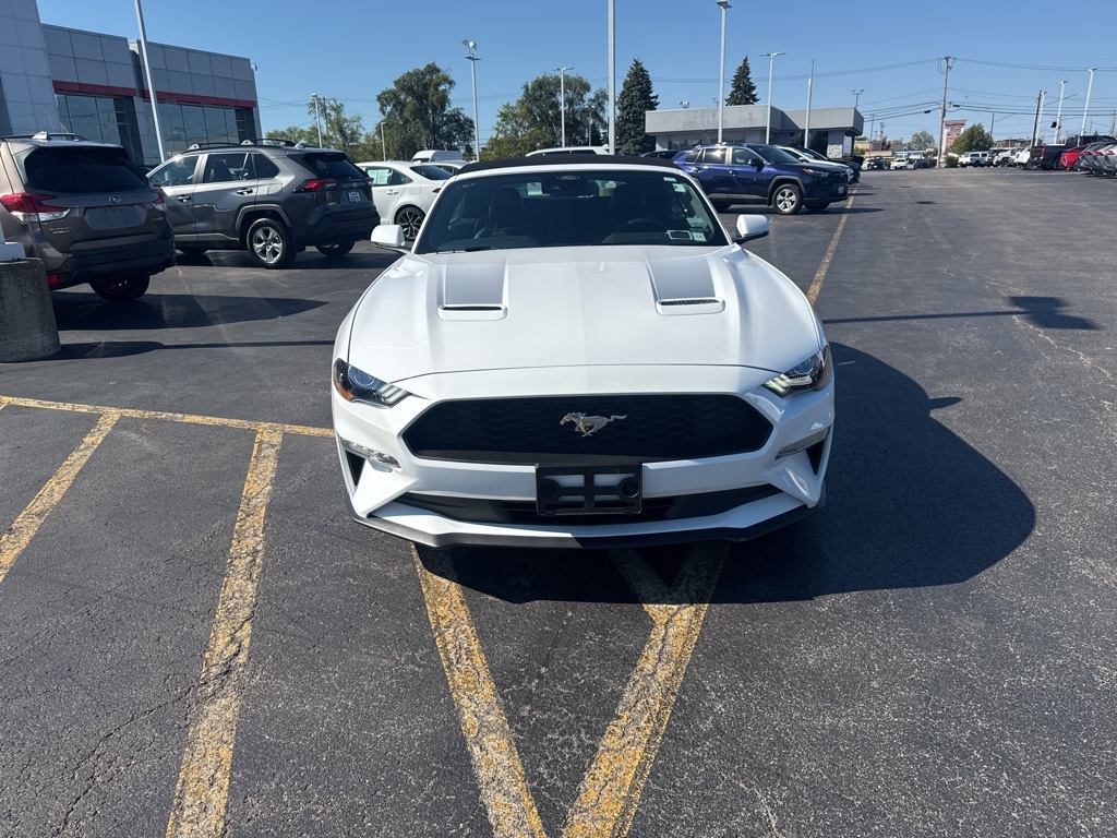 2022 Ford Mustang EcoBoost Premium photo 2