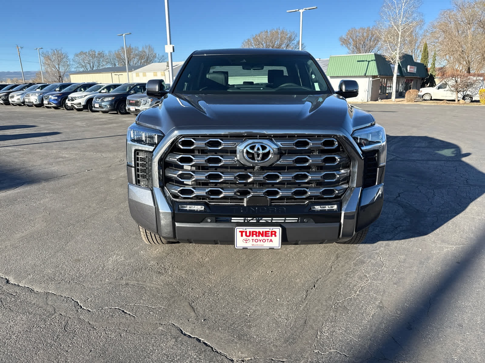 2025 Toyota Tundra Platinum CrewMax photo 7