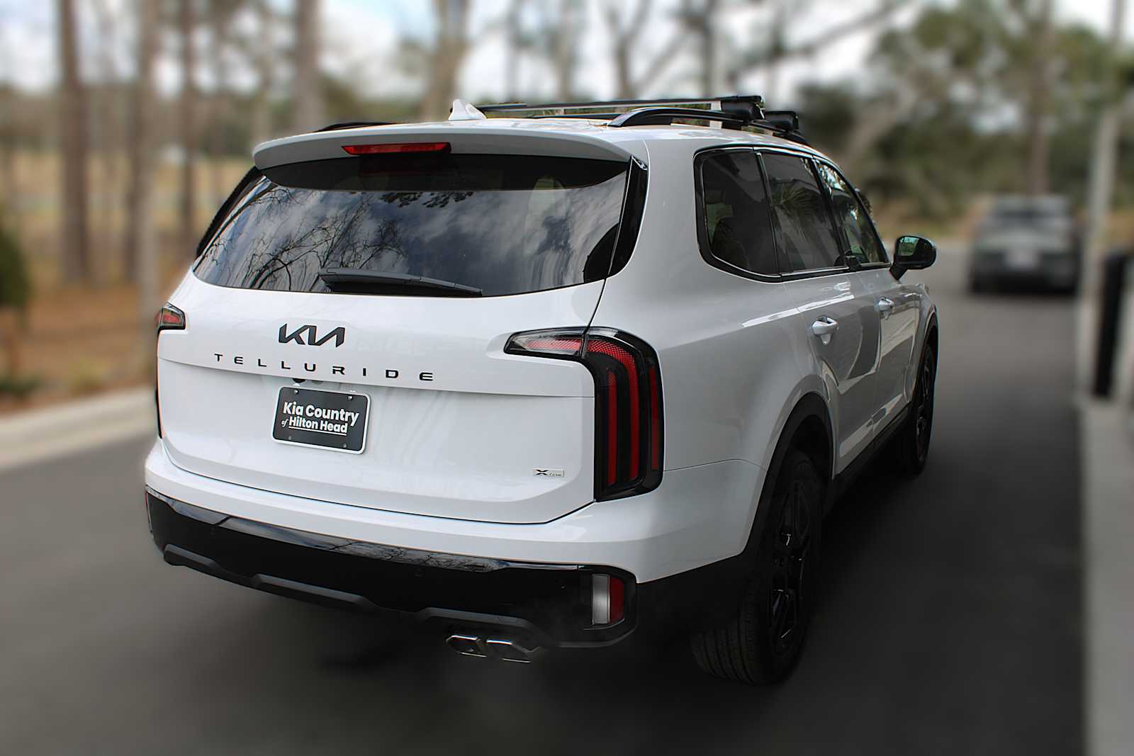 2025 Kia Telluride EX X-Line photo 10