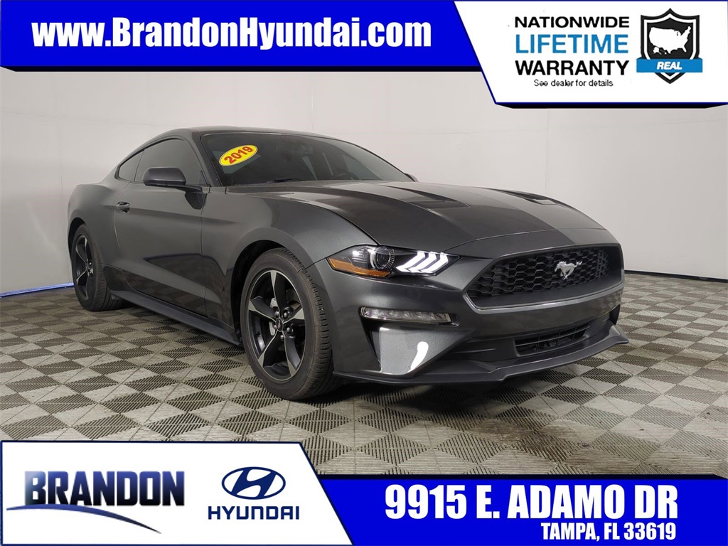 2019 Ford Mustang
